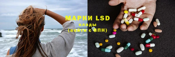 PSILOCYBIN Нязепетровск