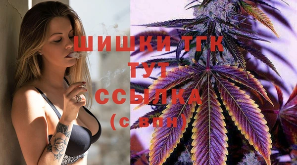 PSILOCYBIN Нязепетровск