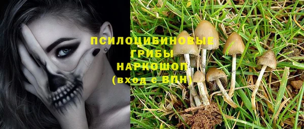 PSILOCYBIN Нязепетровск