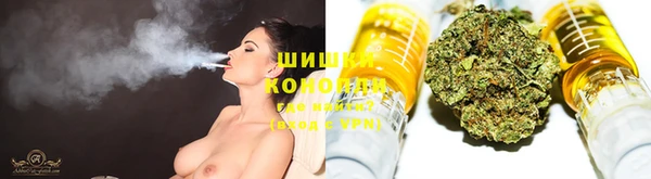 дмт Нягань