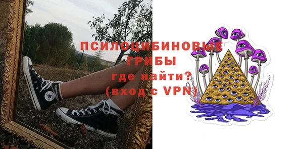 дмт Нягань