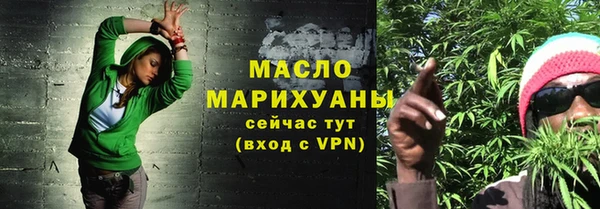 тгк Инсар