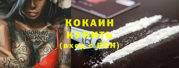 дмт Нягань