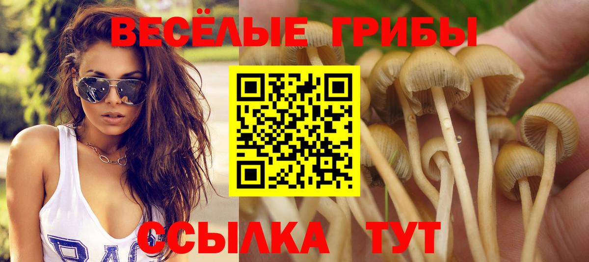  COCAIN Мурманск